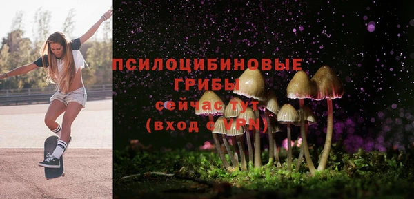 прущие крисы Медногорск