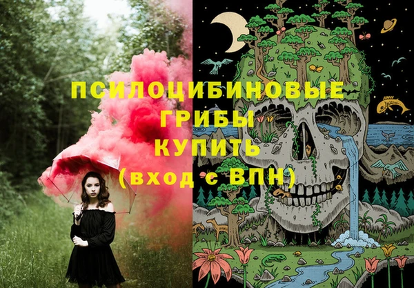 соль курить ск Медвежьегорск