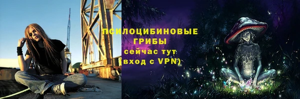 соль курить ск Медвежьегорск