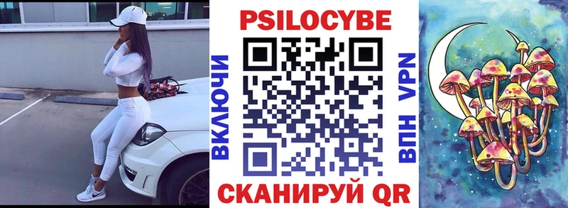 Галлюциногенные грибы Magic Shrooms  Купить где  Камышин